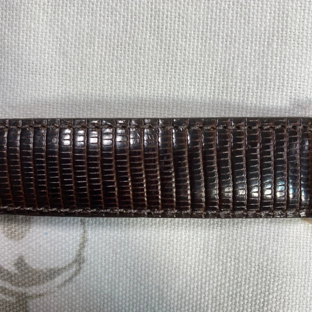 Brighton VINTAGE cowgirl MADE IN USA Belt Leather Silver Metal Faux Snake 40609‎